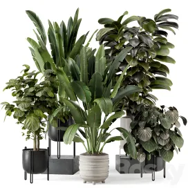 Indoor plants in ferm living bau pot large